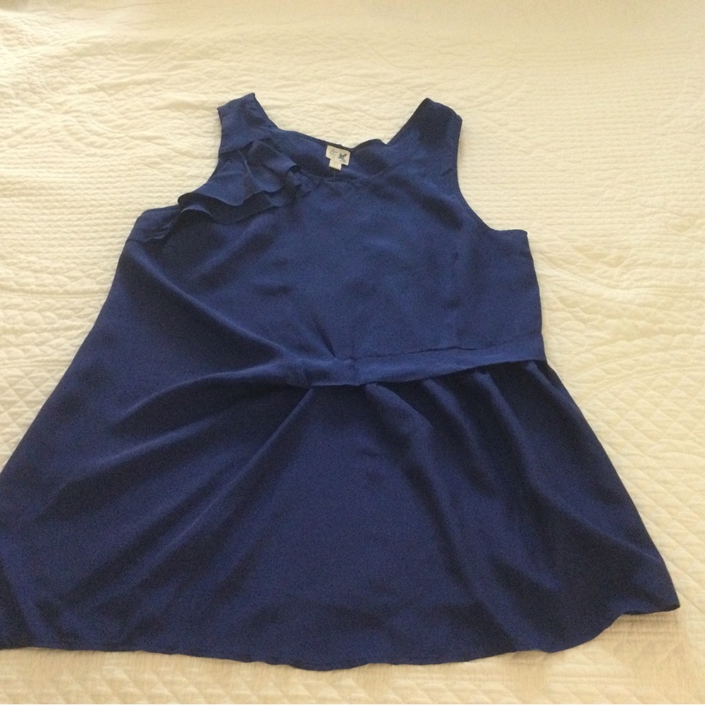 Anthropologie Blue Silk Sleeveless Top